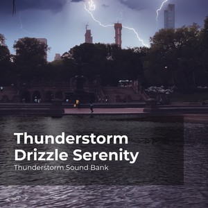 Fierce Thunder Crack