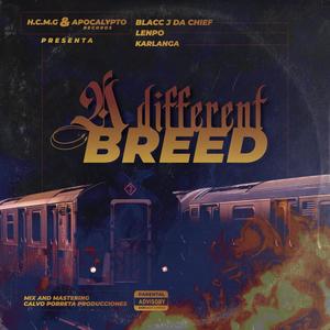 A different breed (feat. Lempo & Karlanga) [Explicit]