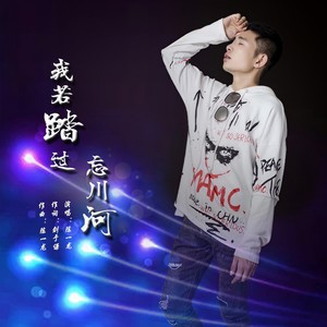 我若踏过忘川河 (DJ沈念版)