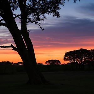 The Distance in a Crowded Room