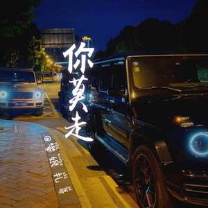 情花几时开 (DJ版)