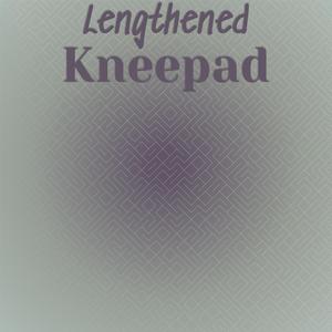 Lengthened Kneepad