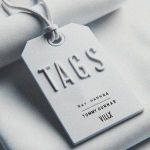 TAGS (feat. Ray Hanna & Tommy Gunnar) (Explicit)