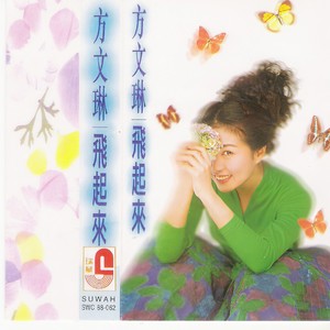 方文琳 - 红蝴蝶