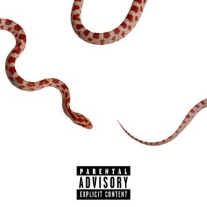 Snake Charmer (Explicit)