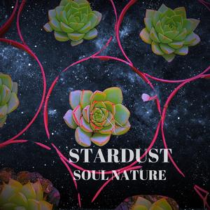 STARDUST