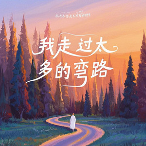 我走过太多的弯路