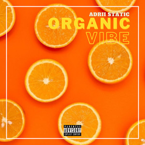 Organic Vibe (Explicit)