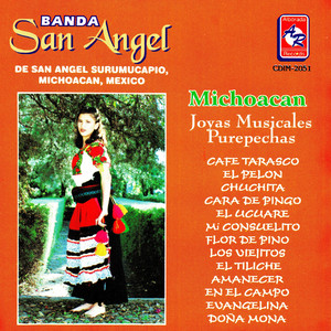 Michoacan Joyas Musicales Purepechas