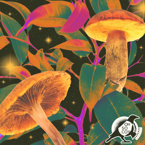 Amphibian (Trevor Gordon Remix)
