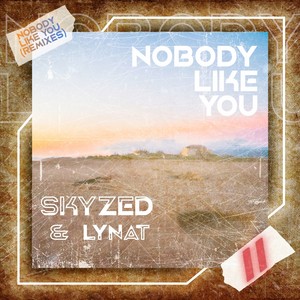 Nobody Like You (Remixes)