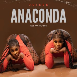 Anaconda (Explicit)