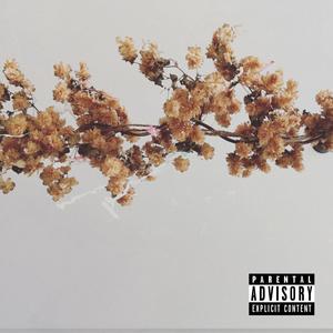 Aint it funny (Explicit)