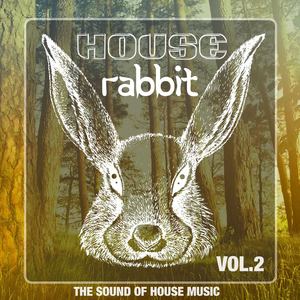 House Rabbit Vol. 2 (The Sound of House Music)