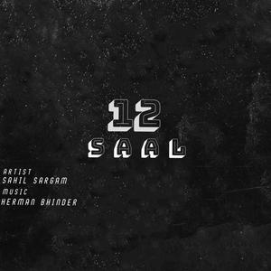 12 Saal (Radio Edit)