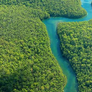 Tu Papa Es Un Pendejo (feat. Lil Soupy & Lil Minivan)