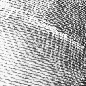 This Is Not A Love Song (Explicit)