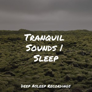 Tranquil Sounds | Sleep