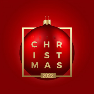 December Song (I Dreamed Of Christmas)