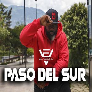 Paso Del Sur (feat. Djzeta Julio Zuñiga)