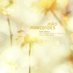 Rag Doll - III. Harp and C Flute: Pollinators