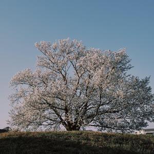 Angel, Pt. 2 (Say It)