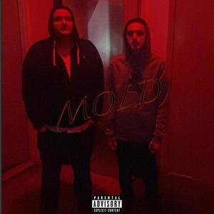 Mold (feat. Moneymakin Ric) [Explicit]