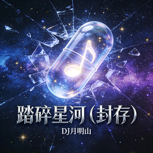 DJ月明山 - 踏碎星河 (封存)