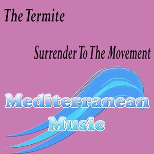 Surrender To The Movement (Original Mix)