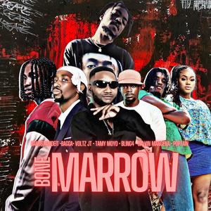 Bone Marrow (feat. Bagga, Voltz Jt, Bling4, Tamy Moyo, Calvin Mangena & Poptain)