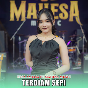 Terdiam Sepi