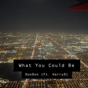 What You Could Be (feat. Harry D) [Explicit]