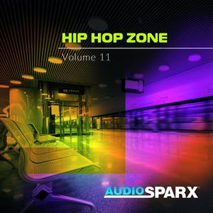 Hip Hop Zone Volume 11