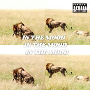 In The Mood (Explicit)