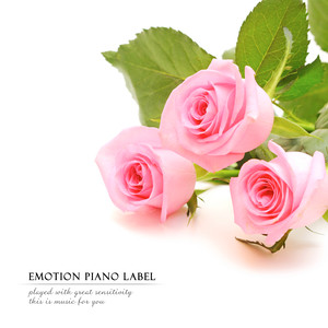 지금 그대의 손을 잡고 (Now hold your hand)