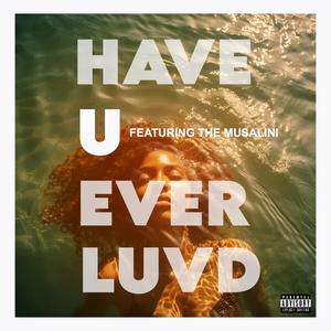 Have U Ever Luvd (Explicit)