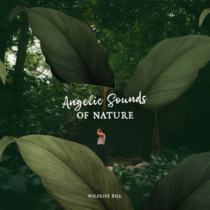 Angelic Sounds of Nature