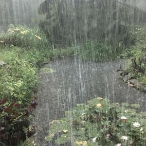 walk thru the rain w no coat (Explicit)