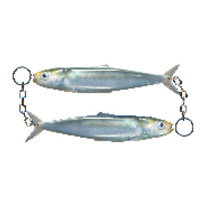 סרדינים בקופסה