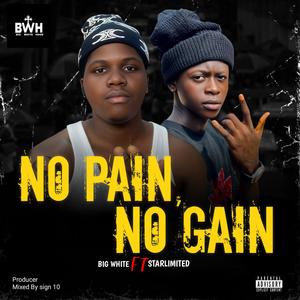 No pain No gain (feat. Starlimited) (Explicit)