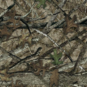 FLACHBACKS (Explicit)