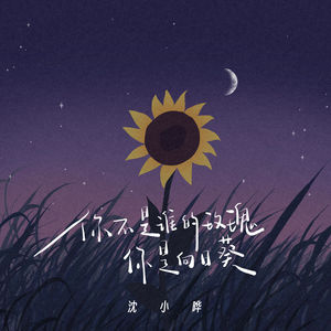 你不是谁的玫瑰 你是向日葵