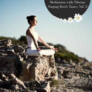 Meditation With Tibetan Singing Bowls Tunes, Vol. 3