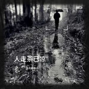 人走茶已凉 (伴奏)