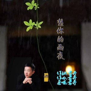 想你的雨夜