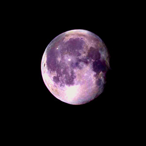 Dogged Devil (Dubstyle)