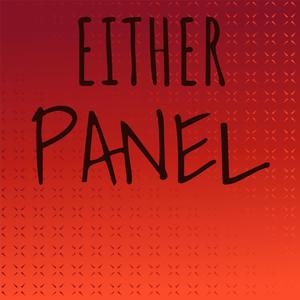 Either Panel
