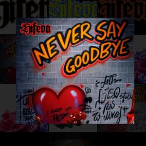 Never Say Goodbye (Explicit)