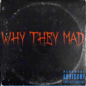 WHY THEY MAD (feat. FLEEKO) (Explicit)