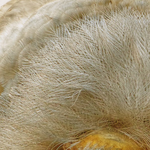 Is That Better...? Or Worse?